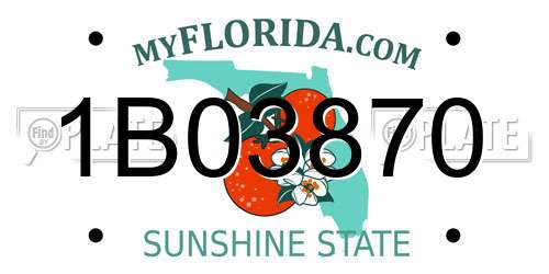 1B03870 Florida License Plate
