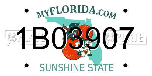 1B03907 Florida License Plate
