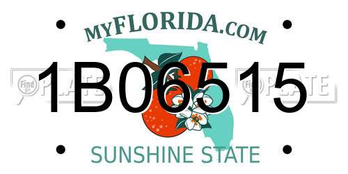 1B06515 Florida License Plate