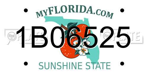 1B06525 Florida License Plate