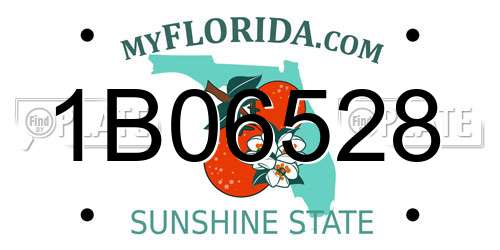 1B06528 Florida License Plate