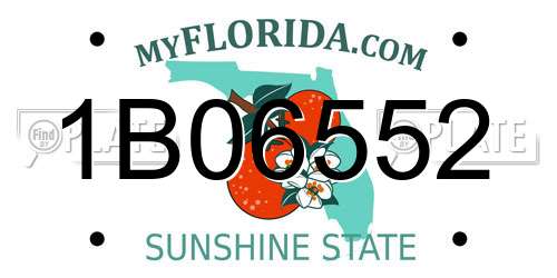 1B06552 Florida License Plate