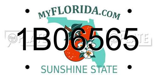 1B06565 Florida License Plate