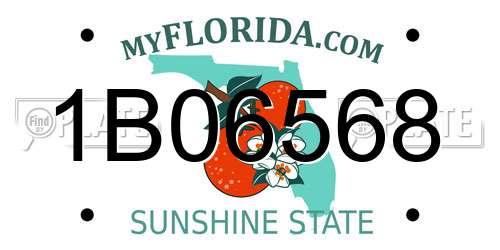 1B06568 Florida License Plate