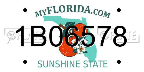 1B06578 Florida License Plate