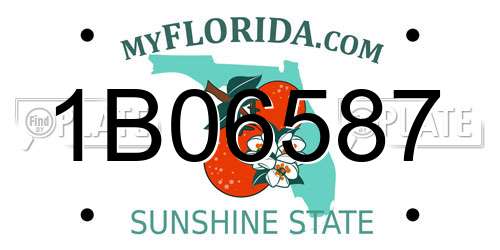 1B06587 Florida License Plate