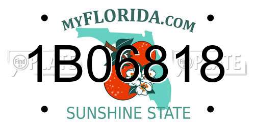 1B06818 Florida License Plate