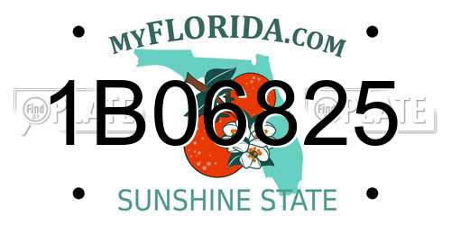 1B06825 Florida License Plate