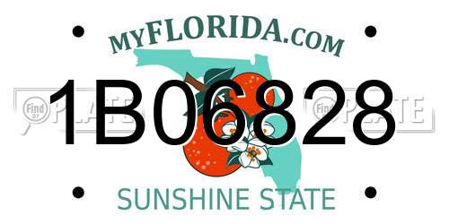 1B06828 Florida License Plate