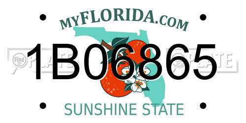 1B06865 Florida License Plate