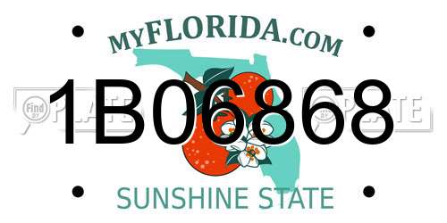 1B06868 Florida License Plate