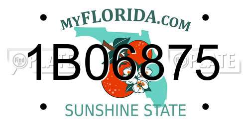 1B06875 Florida License Plate