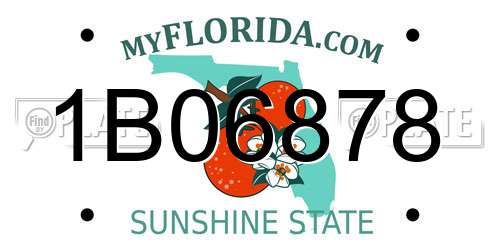 1B06878 Florida License Plate
