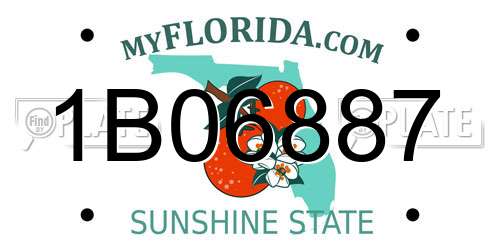 1B06887 Florida License Plate