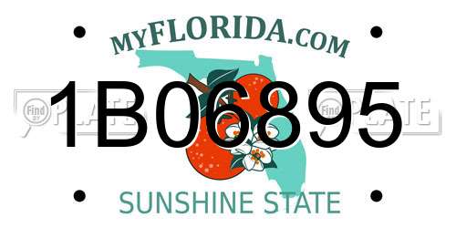 1B06895 Florida License Plate