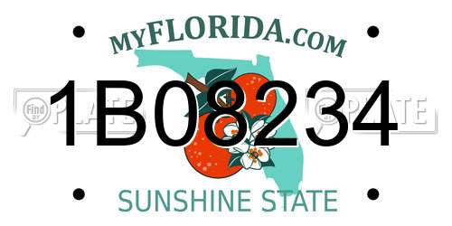1B08234 Florida License Plate