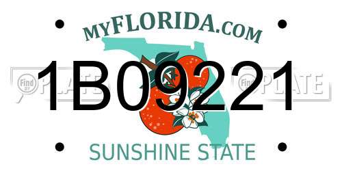1B09221 Florida License Plate