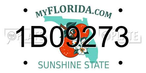1B09273 Florida License Plate