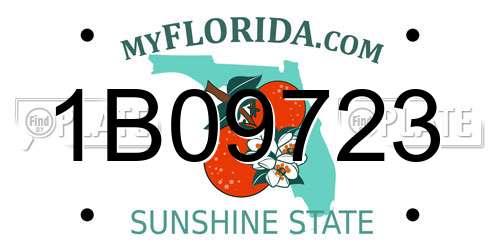 1B09723 Florida License Plate