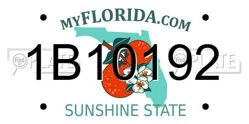 1B10192 Florida License Plate