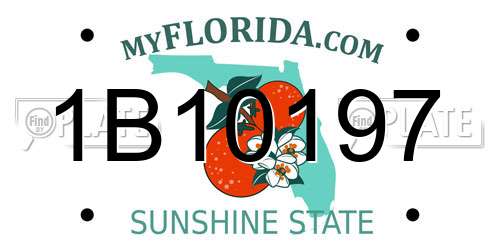 1B10197 Florida License Plate