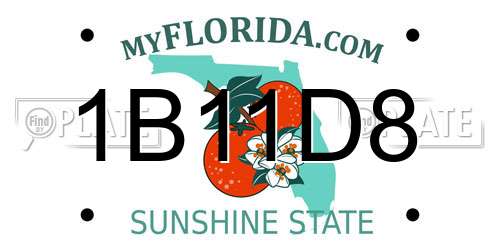 1B11D8 Florida License Plate