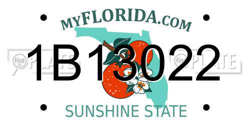 1B13022 Florida License Plate