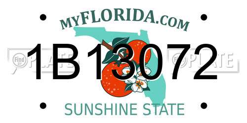 1B13072 Florida License Plate