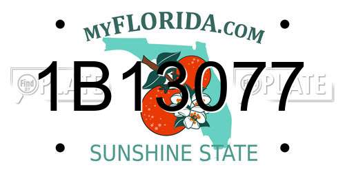 1B13077 Florida License Plate