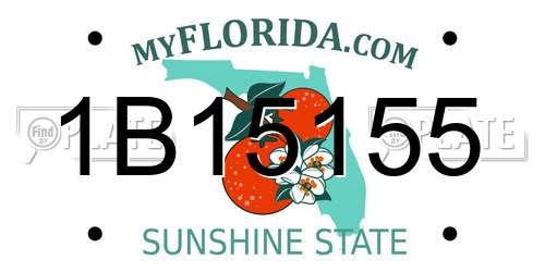 1B15155 Florida License Plate
