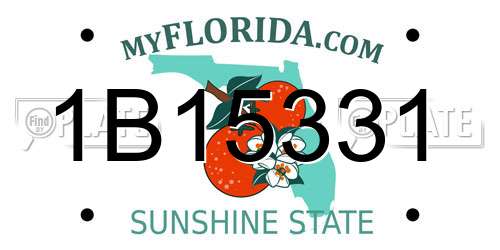 1B15331 Florida License Plate