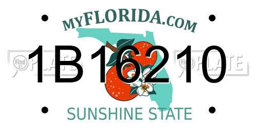 1B16210 Florida License Plate