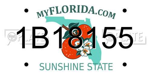 1B18155 Florida License Plate