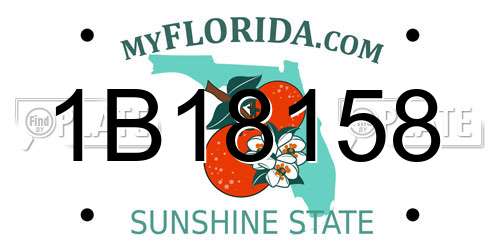 1B18158 Florida License Plate