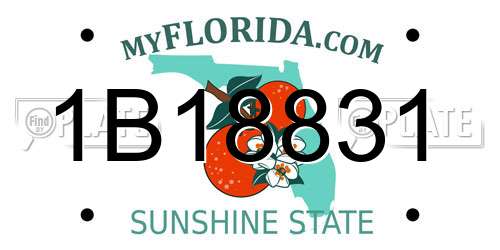 1B18831 Florida License Plate