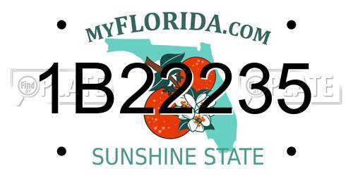 1B22235 Florida License Plate