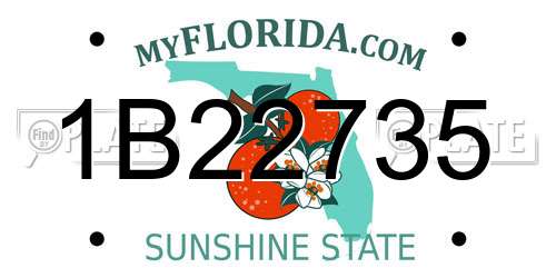1B22735 Florida License Plate
