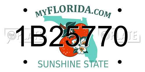 1B25770 Florida License Plate