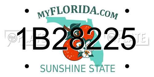 1B28225 Florida License Plate