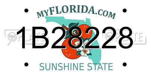1B28228 Florida License Plate