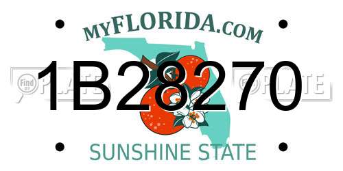 1B28270 Florida License Plate
