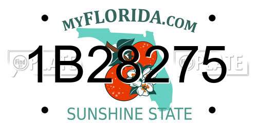1B28275 Florida License Plate