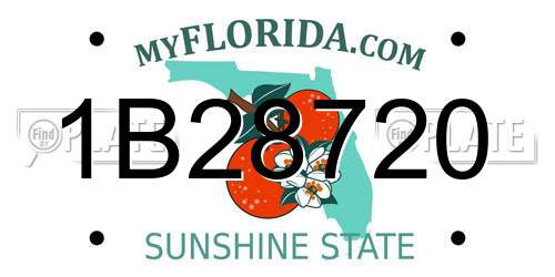 1B28720 Florida License Plate