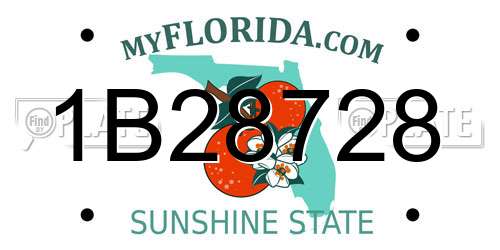 1B28728 Florida License Plate