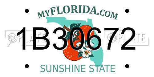 1B30672 Florida License Plate
