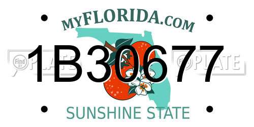 1B30677 Florida License Plate