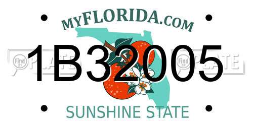 1B32005 Florida License Plate