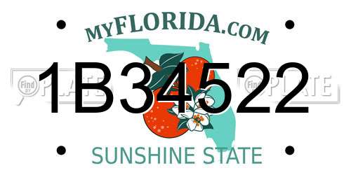1B34522 Florida License Plate