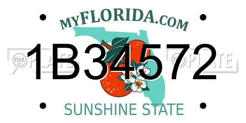 1B34572 Florida License Plate