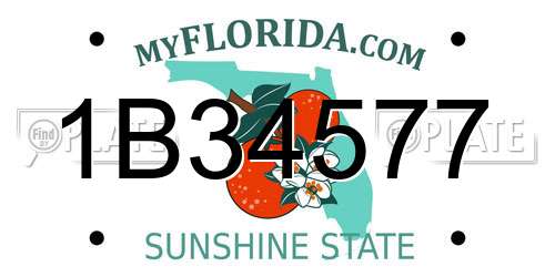 1B34577 Florida License Plate